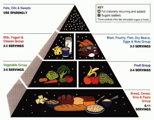 USDA food pyramid 1992