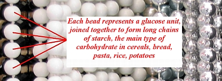 beads representing glucose units