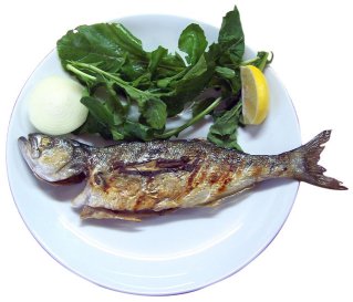 grilled oily fish