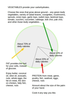 average portion sizes LCHF food plate on thrivelowcarb.com